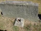 image of grave number 931319